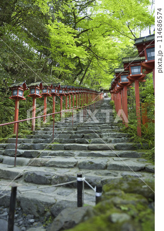 貴船神社 南参道 新緑に映える春日灯籠 縦構図1 貴船神社 南参道 新緑に映える春日灯籠 縦構図1 114686574
