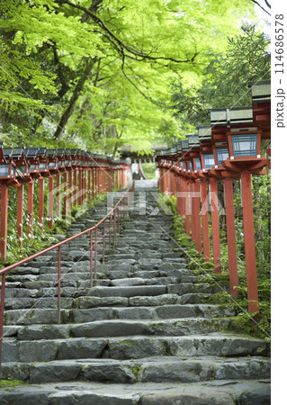 貴船神社 南参道 新緑に映える春日灯籠 縦構図4 貴船神社 南参道 新緑に映える春日灯籠 縦構図4 114686578