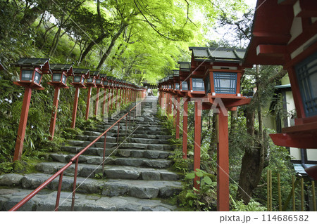貴船神社　南参道　新緑に映える春日灯籠　横構図2 114686582