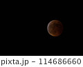 皆既月蝕 114686660