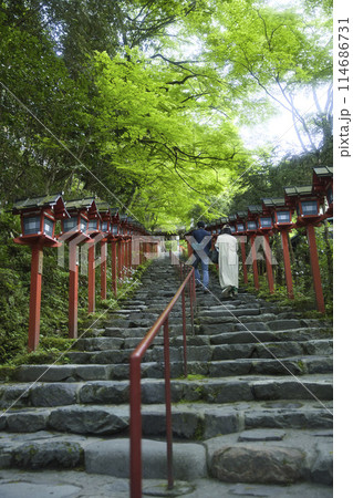 貴船神社 新緑の参道と春日灯籠と参拝者 縦構図2 貴船神社 新緑の参道と春日灯籠と参拝者 縦構図2 114686731