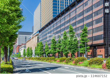 新緑の街路樹の丸の内ビジネス街　東京春風景 114687152