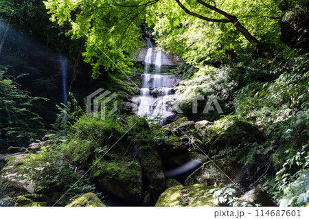 唐岬の滝　夏の風景1　愛媛県東温市 114687601