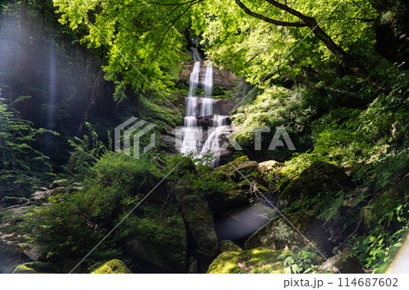 唐岬の滝　夏の風景2　愛媛県東温市 114687602