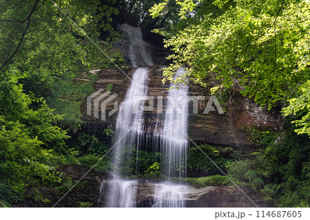 唐岬の滝　夏の風景5　愛媛県東温市 114687605