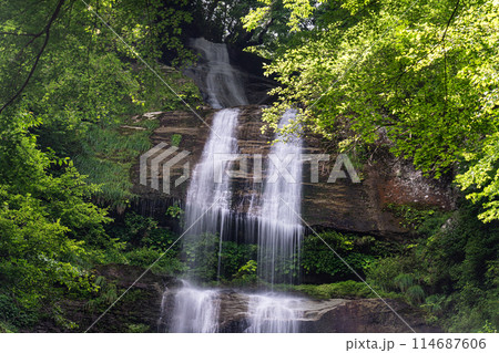唐岬の滝　夏の風景6　愛媛県東温市 114687606