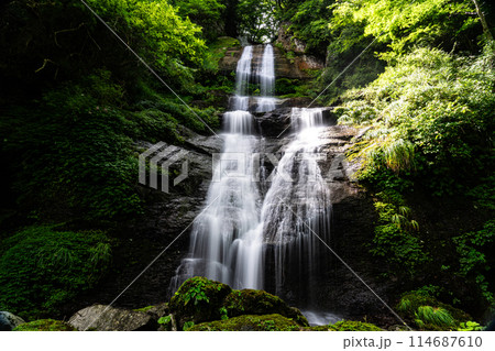 唐岬の滝　夏の風景10　愛媛県東温市 114687610