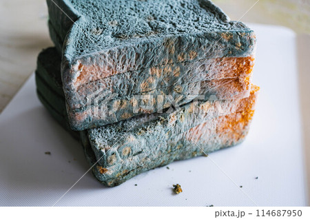 カビだらけの食パン 114687950