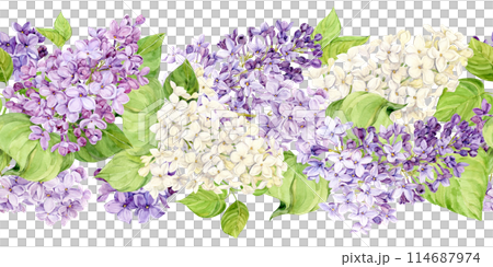 Horizontal seamless border with pink, purple, white and violet lilac. Watercolor spring flowers in botanical style. Hand drawn illustration on transparent background. Pattern for printing on fabric. Horizontal seamless border with pink, purple, white and violet lilac. Watercolor spring flowers in botanical style. Hand drawn illustration on transparent background. Pattern for printing on fabric. 114687974