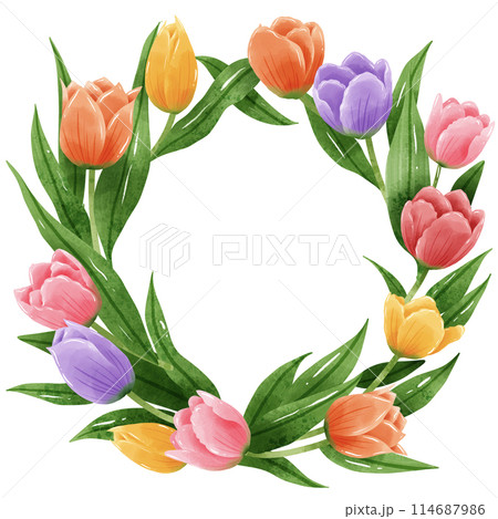 Handdrawn illustration watercolor colorful tulips frames wreaths arrangement Spring floral clipart greeting card bridal shower wedding invitation Botanical painting Handdrawn illustration watercolor colorful tulips frames wreaths arrangement Spring floral clipart greeting card bridal shower wedding invitation Botanical painting 114687986