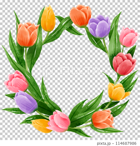 Handdrawn illustration watercolor colorful tulips frames wreaths arrangement Spring floral clipart greeting card bridal shower wedding invitation Botanical painting 114687986