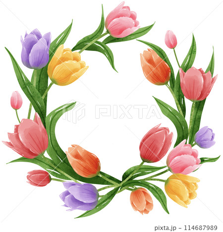 Handdrawn illustration watercolor colorful tulips frames wreaths arrangement Spring floral clipart greeting card bridal shower wedding invitation Botanical painting Handdrawn illustration watercolor colorful tulips frames wreaths arrangement Spring floral clipart greeting card bridal shower wedding invitation Botanical painting 114687989
