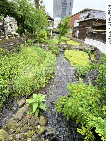 小川のある風景 114688484