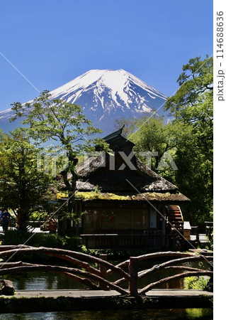 忍野八海と富士山(山梨県・忍野村) 忍野八海と富士山(山梨県・忍野村) 114688636
