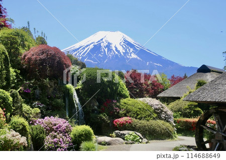 忍野八海と富士山（山梨県・忍野村） 114688649