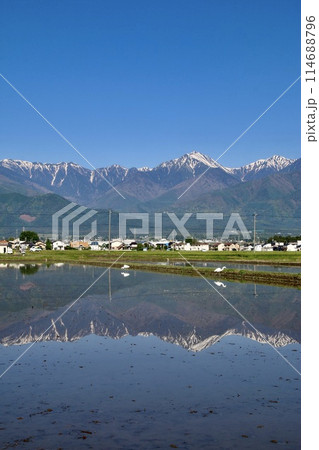 安曇野から見た水田と北アルプス・西方面（長野県・安曇野市） 114688796