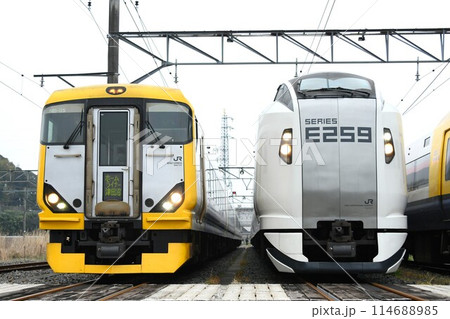 電留線で並ぶE257系500番台(ホームライナー津田沼表示)とE259系 電留線で並ぶE257系500番台(ホームライナー津田沼表示)とE259系 114688985