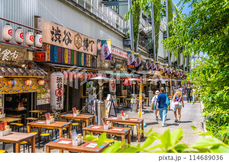 日本の東京都市景観 5月・新緑の季節を迎えた渋谷駅前の渋谷横丁などを望む。外国人らの姿も=17日 日本の東京都市景観 5月・新緑の季節を迎えた渋谷駅前の渋谷横丁などを望む。外国人らの姿も=17日 114689036