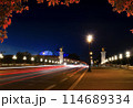 Bridge with night 114689334