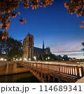 Seine and Notre Dame de Paris 114689341