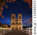 Notre Dame at night 114689355
