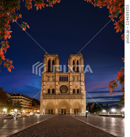 Notre Dame at night 114689355