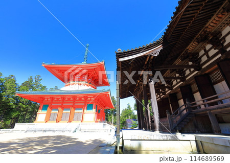 【和歌山県】快晴の高野山の壇上伽藍の根本大塔と御影堂 【和歌山県】快晴の高野山の壇上伽藍の根本大塔と御影堂 114689569