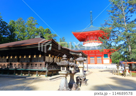 【和歌山県】快晴の高野山の壇上伽藍の根本大塔と御影堂 114689578