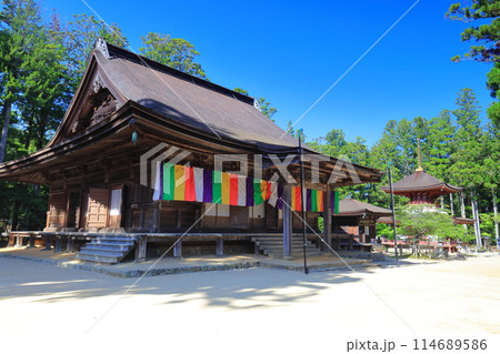 【和歌山県】快晴の高野山の壇上伽藍の大会堂と東塔 114689586