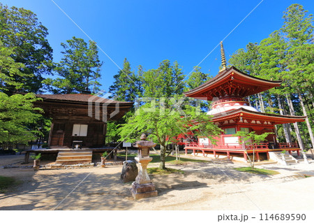 【和歌山県】快晴の高野山の壇上伽藍の三味堂と東塔 114689590