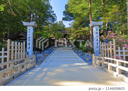 【和歌山県】晴天下の金剛峯寺の正門（高野山） 114689603