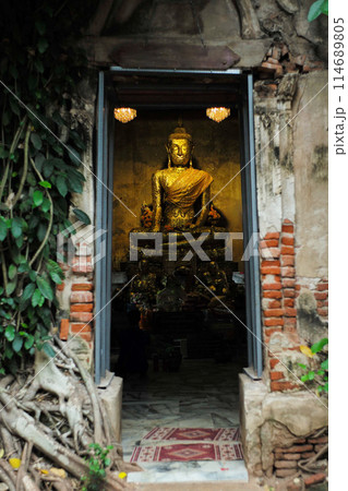 The old golden Buddha statue inside the old church covered by the roots of big free 114689805
