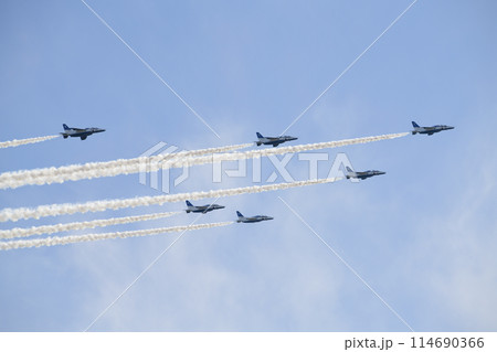 青空を飛行するブルーインパルス ＜静浜基地＞ 114690366