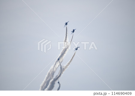 青空を飛行するブルーインパルス ＜静浜基地＞ 114690409