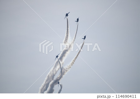 青空を飛行するブルーインパルス ＜静浜基地＞ 114690411