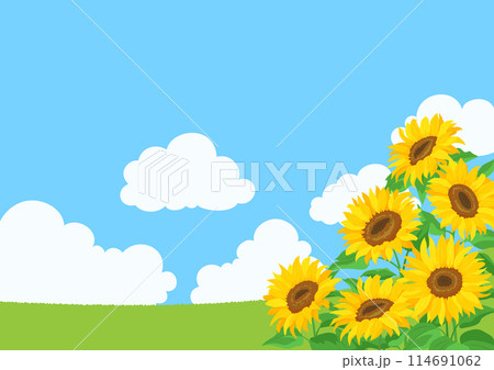 ひまわりの花と青空の風景。背景イラスト素材。 ひまわりの花と青空の風景。背景イラスト素材。 114691062