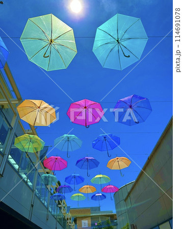 カラフルなアンブレラフラワー 114691078