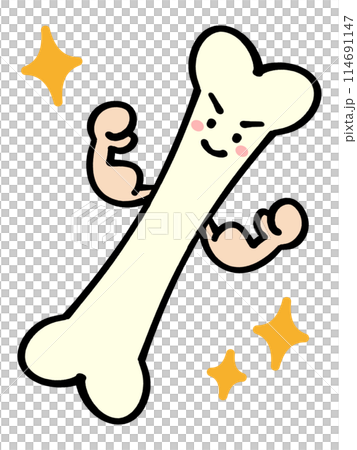 シンプルな骨のイラスト素材 シンプルな骨のイラスト素材 114691147