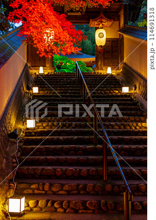 静岡県袋井市村松　油山寺と境内の風景 114691318