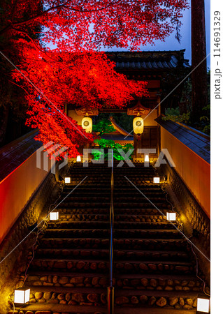 静岡県袋井市村松 油山寺と境内の風景 静岡県袋井市村松 油山寺と境内の風景 114691329