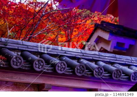 静岡県袋井市村松 油山寺と境内の風景 静岡県袋井市村松 油山寺と境内の風景 114691349