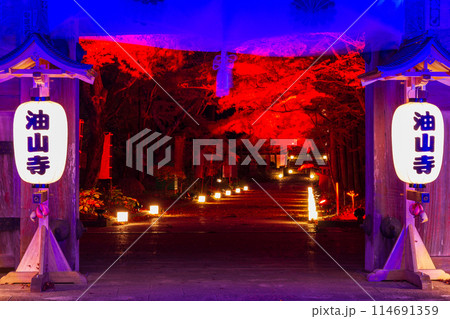 静岡県袋井市村松　油山寺と境内の風景 114691359