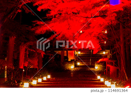 静岡県袋井市村松　油山寺と境内の風景 114691364