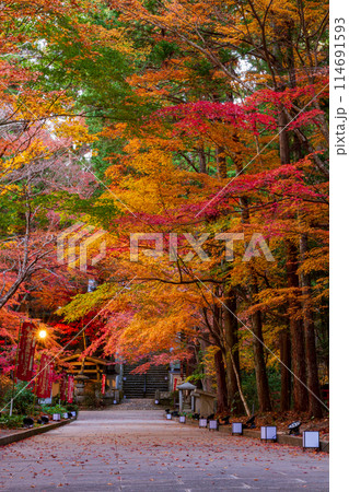 静岡県袋井市村松 油山寺と境内の風景 静岡県袋井市村松 油山寺と境内の風景 114691593