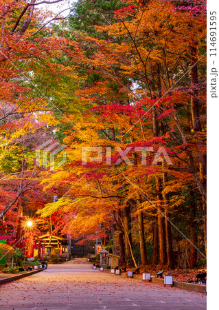 静岡県袋井市村松 油山寺と境内の風景 静岡県袋井市村松 油山寺と境内の風景 114691595