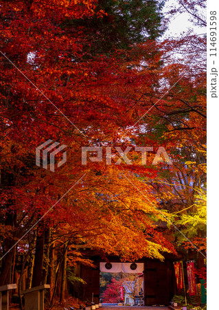 静岡県袋井市村松　油山寺と境内の風景 114691598