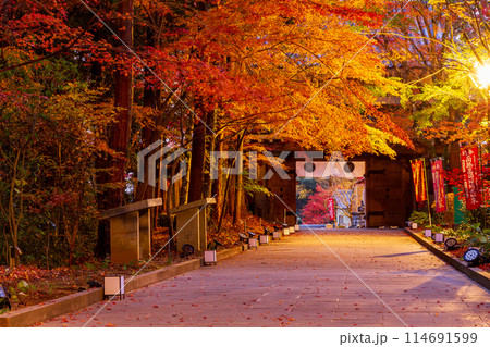 静岡県袋井市村松　油山寺と境内の風景 114691599