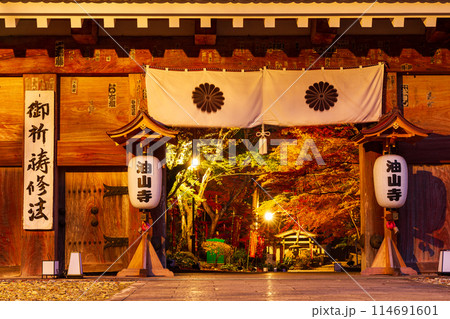 静岡県袋井市村松　油山寺と境内の風景 114691601