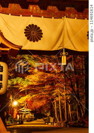 静岡県袋井市村松 油山寺と境内の風景 静岡県袋井市村松 油山寺と境内の風景 114691614