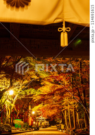 静岡県袋井市村松　油山寺と境内の風景 114691615